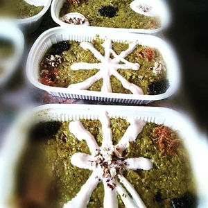 دیزی سرای قُنَبید 5