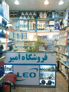 فروشگاه امیر