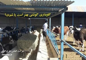گاوداری یاسین