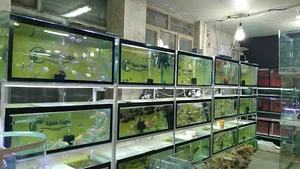 فروشگاه آکوا انجل