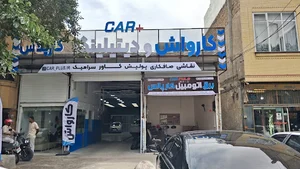 برق اتومبیل کار پالس