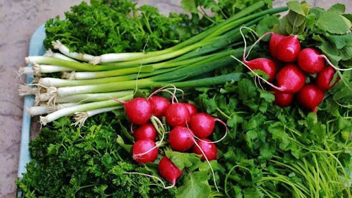 سبزی فروشی ایوب