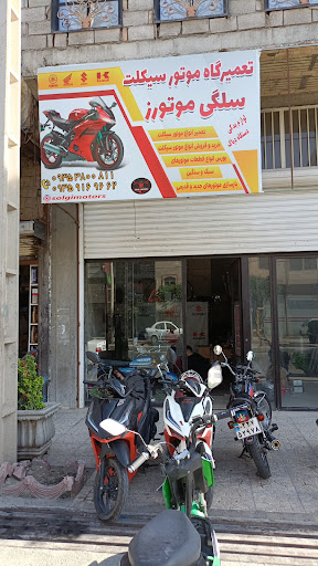 موتور سازی سلگی موتورز