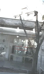 نانوایی لواش نوری 2