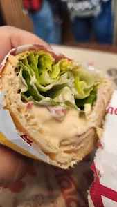 Haida Sandwich هایدا مطهری