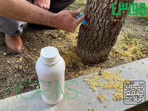 باغبانی و جابجایی درخت هورس 2
