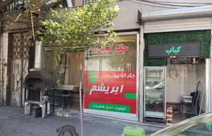 جگر کبابی ابریشم 4