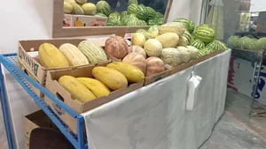 میوه سرای دستچین 2
