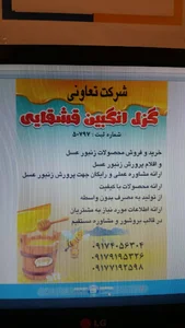 gozal angabin qashqhaie