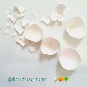 گلسرای سایلنت راک 2