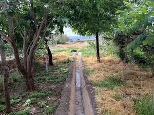 مسجد جامع فیض آباد