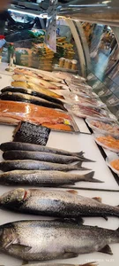 ماهی فروشی آقای ماهی فروش Aghaye Mahi foroush