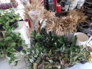گلسرای سوگل 2