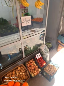 میوه سرای رز 3