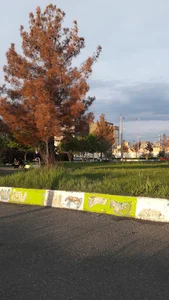 پارک شیخ نوایی