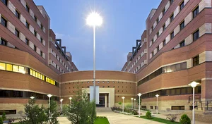 School of Electrical Engineering