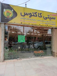 گلخانه سیتی کاکتوس