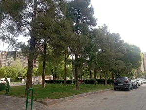 پارک گلها 4