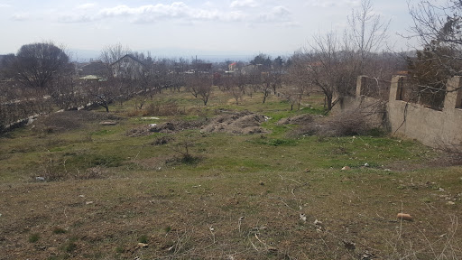 باغات خوروین