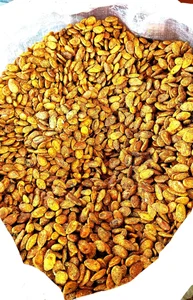 کارگاه شور کاری آجیل 2