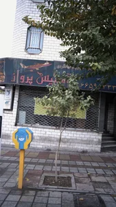 شرکت خدمات مسافرت هوایی و جهانگردی آمیتیس پرواز 4