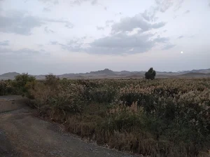 تالاب شیراباد. تفتان