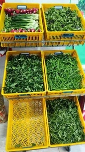 سبزی مارکت برتر 3
