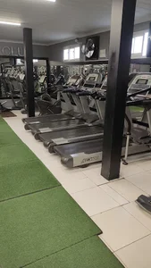 باشگاه برتر
