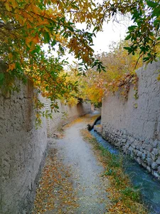 باغشهرتفت