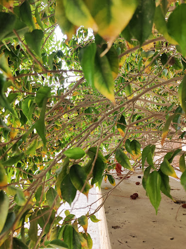 خیابان آسمان