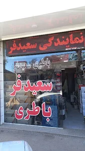 باتری سعیدفر