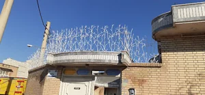 حفاظ شاخ گوزنی دزفول