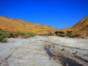 چشمه مرجانی
