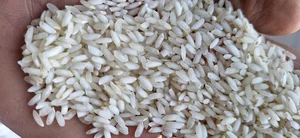 برنجکوبی و لیزر ستاره جنوب