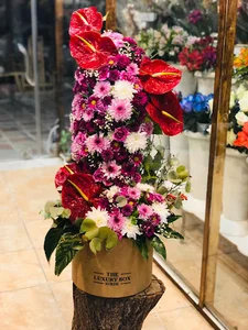 Orchid flower (گل ارکیده)