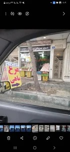 سوپر پروتیین یاشار
