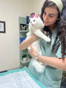 Atlas Vet Clinic کلینیک دامپزشکی اطلس وت 3