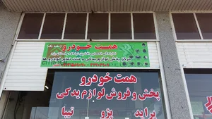 همت خودرو