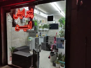 پیرایش امین