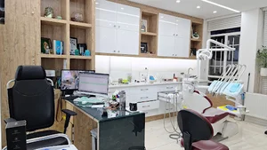 Dr. Meisam Rajabalizadeh