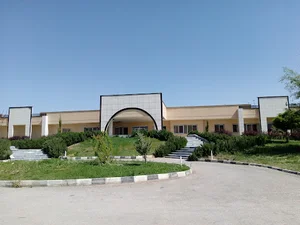 درمان بستر علی ابن موسی الرضا (ع)