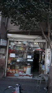 دکتر سید رضا سید سالکی 2