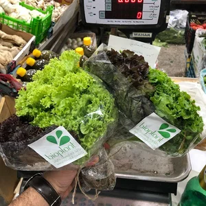 میوه فروشی جلالی