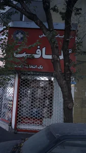 تشک رویا 4