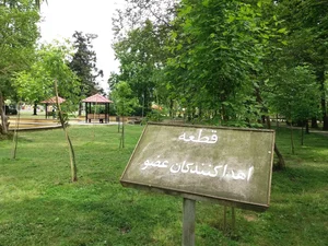 پیاده راه فرهنگی رشت 4