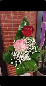 گل مانوشاک