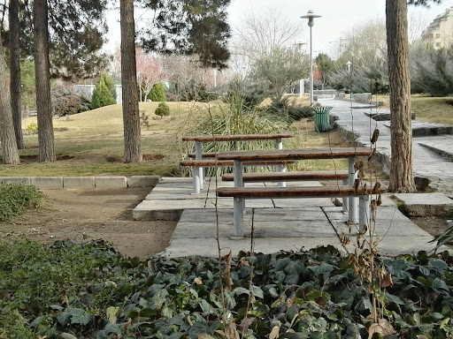 بوستان آبشار