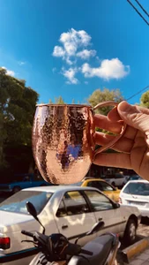 گالری نگار مس