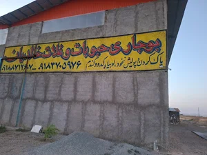 سورتینگ و بوجاری حبوبات وغلات خالدیان