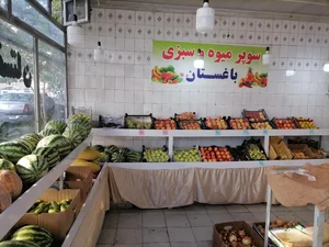 میوه و سبزی باغـــستان 2